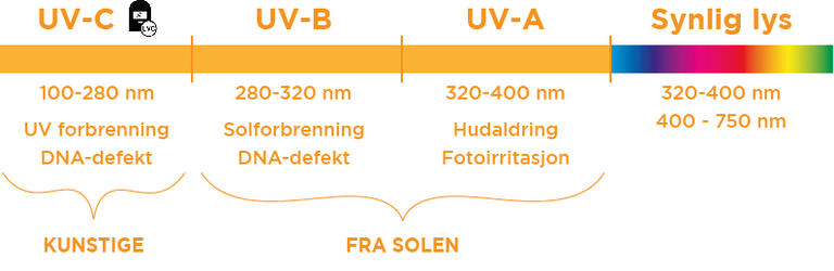UV-stråling og UV-lys – slik påvirkes huden