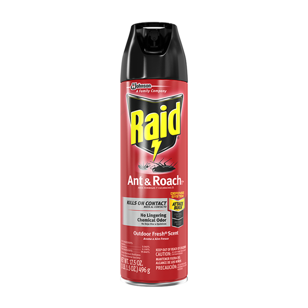 Raid Ant and Roach Killer 26 Outdoor Fresh Scent