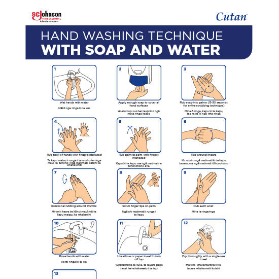 Hand Washing Technique with Soap and Water Thumbnail